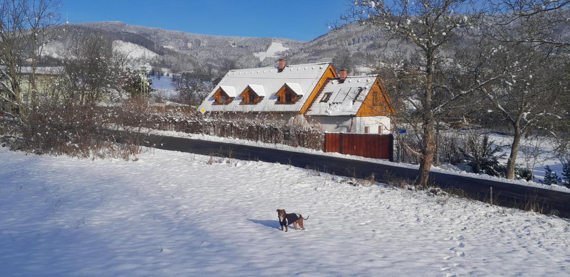 Apartman Pod Jestedem Svetla pod Jestedem Exteriör bild